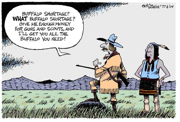 Buffalo shortage