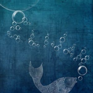 Fish bubbles