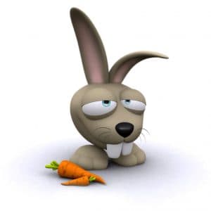 Lapin et carottes - Rabbit with carrots