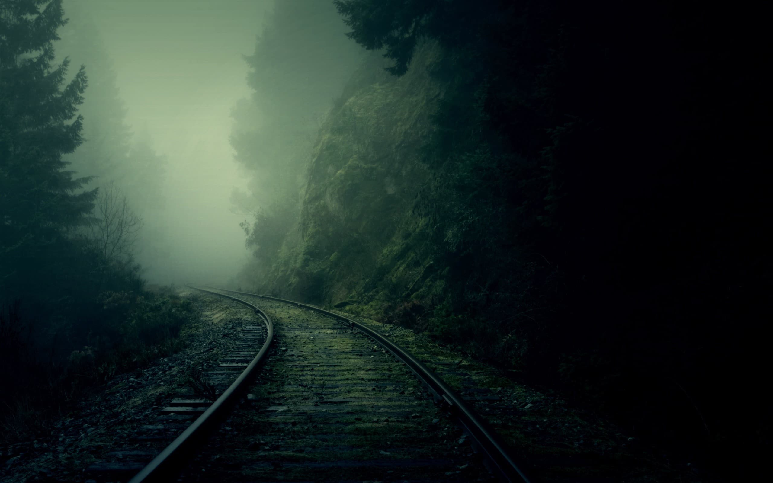 Rails dans le brouillard