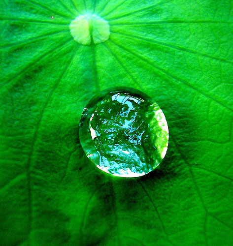 Raindrop