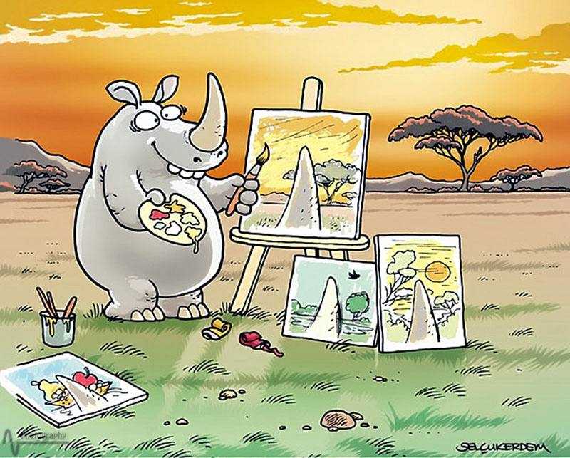 Vision rhino