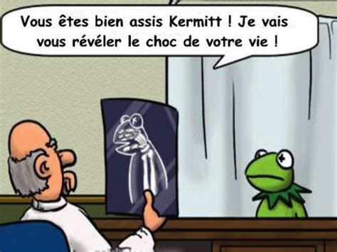 Le vérité dite à Kermitt la grenouille
