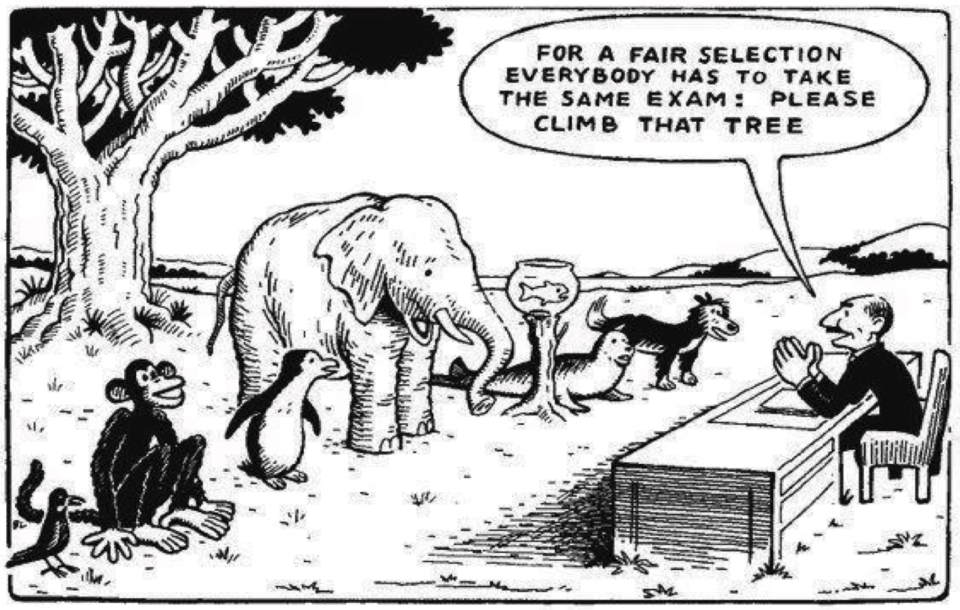 Our education system