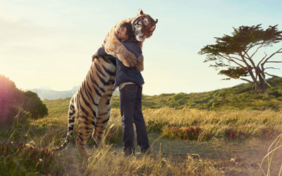 Man hugging tiger